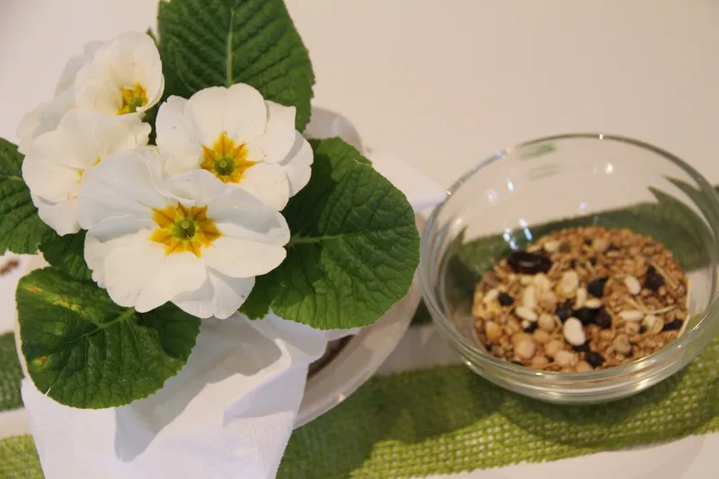 IMG_2697 (Foto: Lea Knill) IMG_2697 (Foto: Lea Knill)